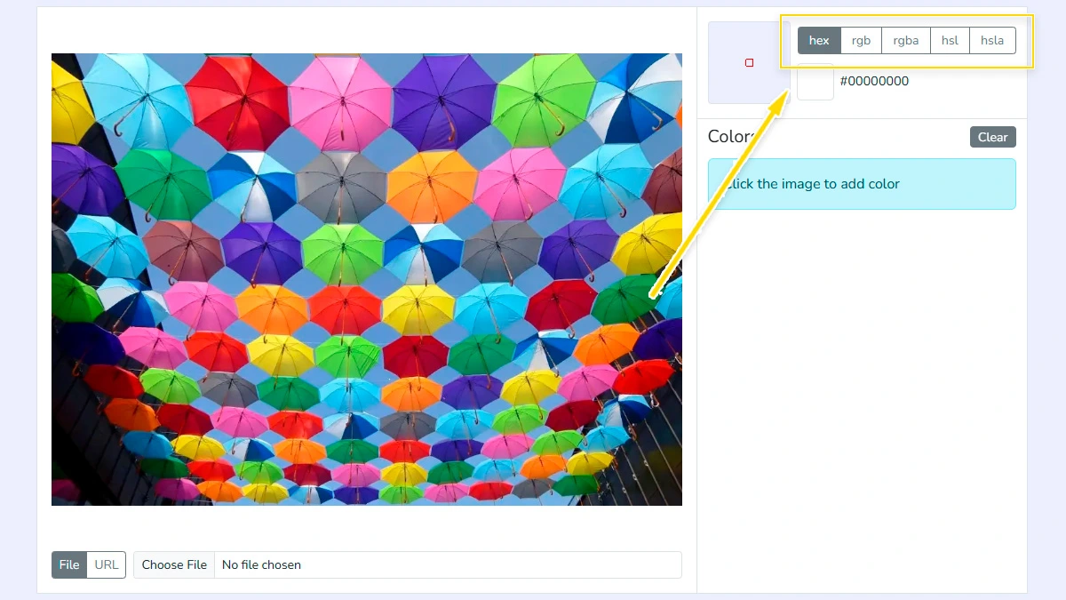 Selecting HEX or RGB format in settings